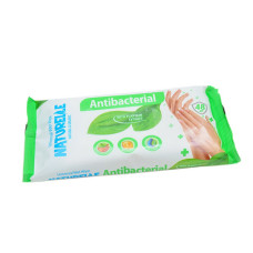 Серветки вологі Naturelle Antibacterial з екстрактом листя подорожника 48шт Серветки вологі Naturelle Antibacterial з екстрактом листя подорожника 48шт