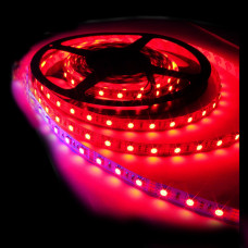 Світлодіодна стрічка ECO smd 3528 60 Led / m DC 12 4 8 W / m IP65 червоний